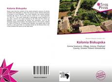 Portada del libro de Kolonia Biskupska