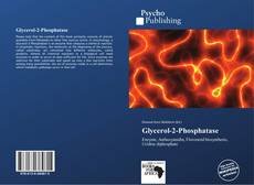 Glycerol-2-Phosphatase kitap kapağı