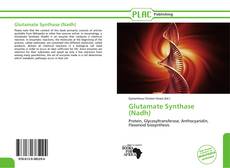 Glutamate Synthase (Nadh) kitap kapağı