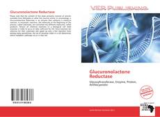 Glucuronolactone Reductase kitap kapağı