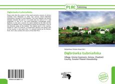 Portada del libro de Dąbrówka Łubniańska