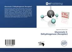 Gluconate 2-Dehydrogenase (Acceptor)的封面