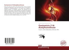 Portada del libro de Gentamicin 2'-N-Acetyltransferase