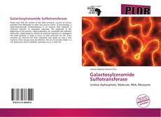 Buchcover von Galactosylceramide Sulfotransferase