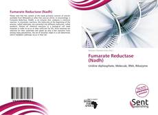 Fumarate Reductase (Nadh) kitap kapağı