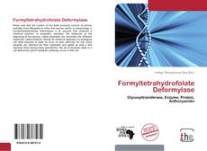 Formyltetrahydrofolate Deformylase的封面