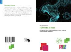 Bookcover of Formate Kinase