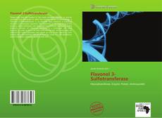 Capa do livro de Flavonol 3-Sulfotransferase 