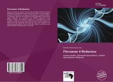 Portada del libro de Flavanone 4-Reductase