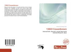 Couverture de 13843 Cowenbrown