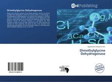 Dimethylglycine Dehydrogenase kitap kapağı