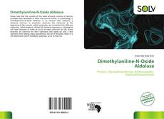 Bookcover of Dimethylaniline-N-Oxide Aldolase