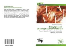 Couverture de Diacylglycerol Cholinephosphotransferase