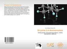 Copertina di D-Lysine 5,6-Aminomutase