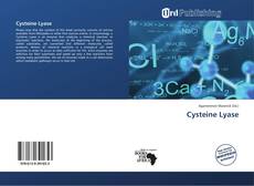 Cysteine Lyase kitap kapağı