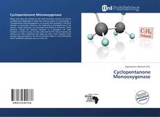 Cyclopentanone Monooxygenase kitap kapağı