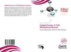 Cobalt-Factor Ii C20-Methyltransferase kitap kapağı