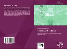 Bookcover of Citramalyl-Coa Lyase