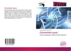 Citramalate Lyase的封面