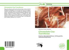 Citramalate Coa-Transferase kitap kapağı