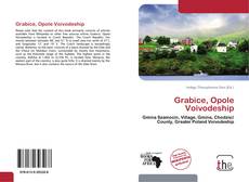 Capa do livro de Grabice, Opole Voivodeship 