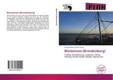 Buchcover von Blankensee (Brandenburg)