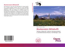 Bookcover of Blankenstein (Wilsdruff)