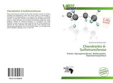 Buchcover von Chondroitin 6-Sulfotransferase