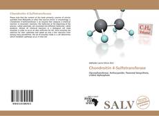 Buchcover von Chondroitin 4-Sulfotransferase