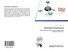 Capa do livro de Chondro-4-Sulfatase 