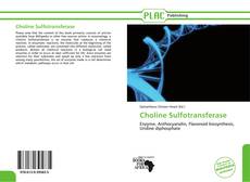 Capa do livro de Choline Sulfotransferase 