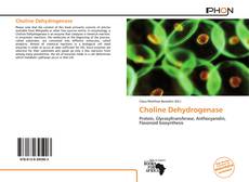 Copertina di Choline Dehydrogenase