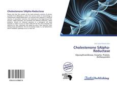 Capa do livro de Cholestenone 5Alpha-Reductase 