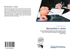 Portada del libro de Borracchini v. Jones