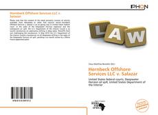 Bookcover of Hornbeck Offshore Services LLC v. Salazar