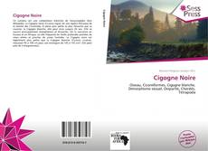 Portada del libro de Cigogne Noire