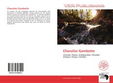 Capa do livro de Chevalier Gambette 