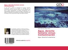 Buchcover von Agua, derecho humano versus Contaminación