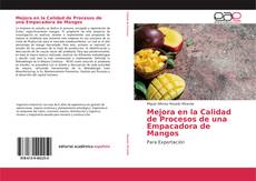 Capa do livro de Mejora en la Calidad de Procesos de una Empacadora de Mangos 