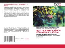 Copertina di HUELLA HÍDRICA FÍSICA, ECONÓMICA Y SOCIAL