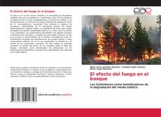 Copertina di El efecto del fuego en el bosque