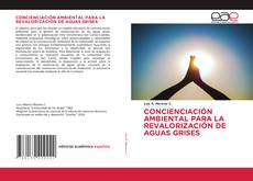 Borítókép a  CONCIENCIACIÓN AMBIENTAL PARA LA REVALORIZACIÓN DE AGUAS GRISES - hoz