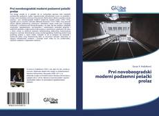 Bookcover of Prvi novobeogradski moderni podzemni pešački prolaz