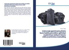 Bookcover of Lietuvoje gaminam? kieto kuro katil? poveikio aplinkai ma?inimas taikant būvio ciklo ?vertinimo metodik?