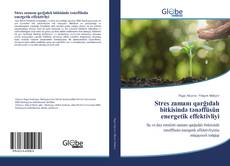 Stres zamanı qarğıdalı bitkisində tənəffüsün energetik effektivliyi kitap kapağı