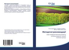 Bookcover of Методичні рекомендації