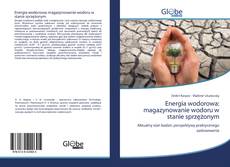 Copertina di Energia wodorowa: magazynowanie wodoru w stanie sprzężonym