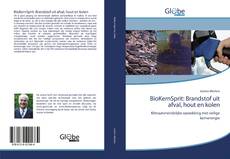 Capa do livro de BioKernSprit: Brandstof uit afval, hout en kolen 