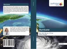 Capa do livro de Hurricane 