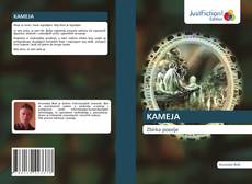 Bookcover of KAMEJA